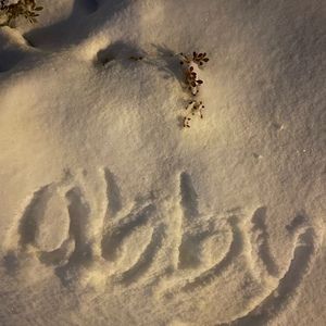 Meet your Posher, Abby